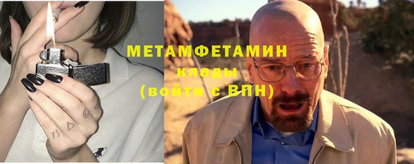 индика Богородск