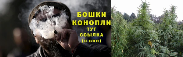 гидропоника Богородицк