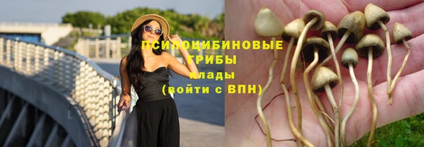гидропоника Богородицк