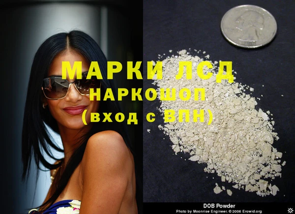 индика Богородск