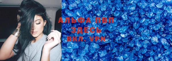 индика Богородск