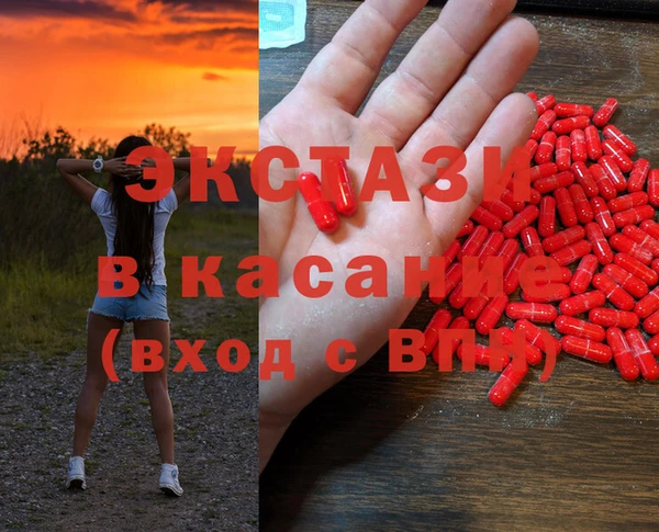 индика Богородск