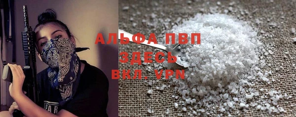 индика Богородск