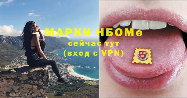 индика Богородск