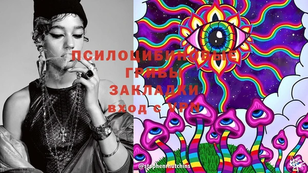 прущая мука Богданович