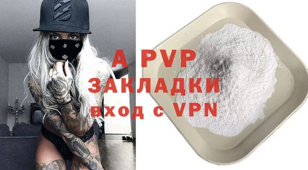 индика Богородск