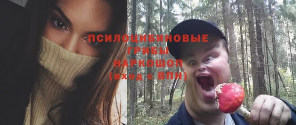 прущая мука Богданович