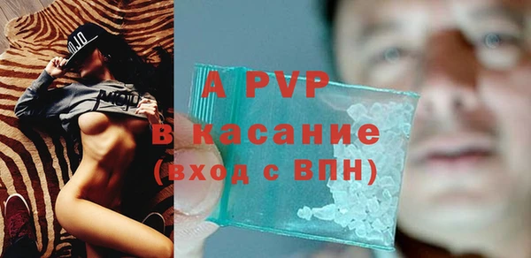 индика Богородск