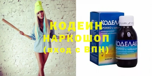 индика Богородск