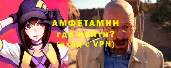индика Богородск